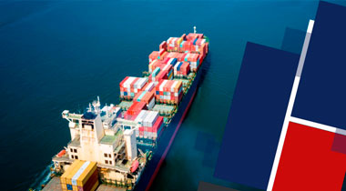 Sasa Cargo
